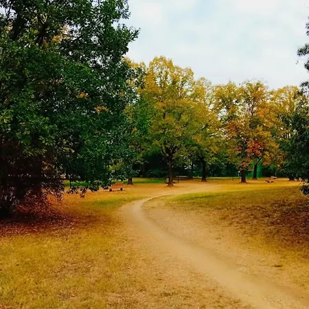 Room& Breakfast Martin's Luxury ボローニャ